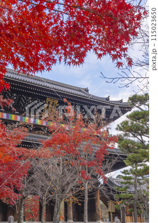 くろ谷 金戒光明寺 紅葉に包まれた山門 くろ谷 金戒光明寺 紅葉に包まれた山門 115023650
