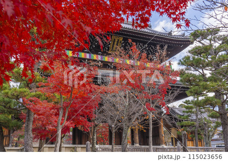 くろ谷 金戒光明寺 紅葉に包まれた山門 くろ谷 金戒光明寺 紅葉に包まれた山門 115023656