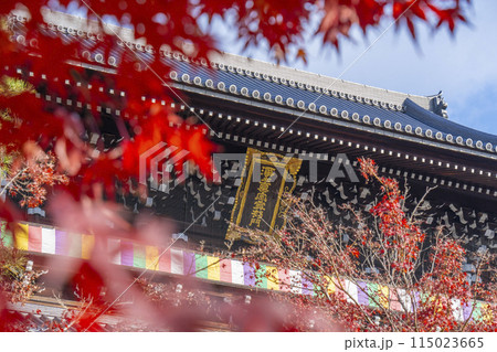 くろ谷　金戒光明寺　紅葉に包まれた山門 115023665