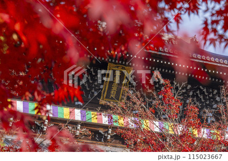 くろ谷 金戒光明寺 紅葉に包まれた山門 くろ谷 金戒光明寺 紅葉に包まれた山門 115023667