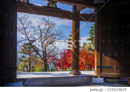 くろ谷　金戒光明寺　紅葉に包まれた山門 115023673