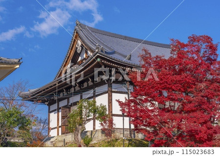 くろ谷　金戒光明寺　紅葉に包まれた阿弥陀堂 115023683