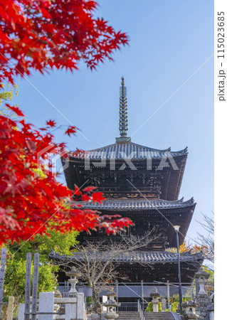 くろ谷　金戒光明寺　紅葉に包まれた文殊塔 115023685