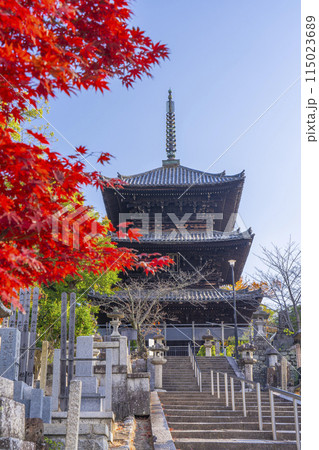 くろ谷 金戒光明寺 紅葉に包まれた文殊塔 くろ谷 金戒光明寺 紅葉に包まれた文殊塔 115023689
