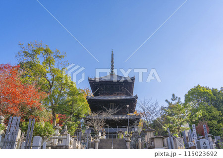 くろ谷 金戒光明寺 紅葉に包まれた文殊塔 くろ谷 金戒光明寺 紅葉に包まれた文殊塔 115023692