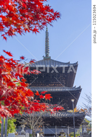 くろ谷 金戒光明寺 紅葉に包まれた文殊塔 くろ谷 金戒光明寺 紅葉に包まれた文殊塔 115023694