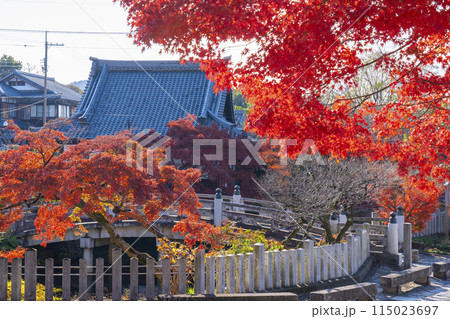 くろ谷 金戒光明寺 紅葉に包まれた極楽橋 くろ谷 金戒光明寺 紅葉に包まれた極楽橋 115023697