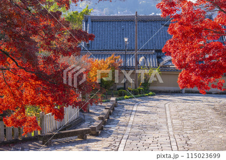 くろ谷　金戒光明寺　紅葉に包まれた石畳の参道 115023699