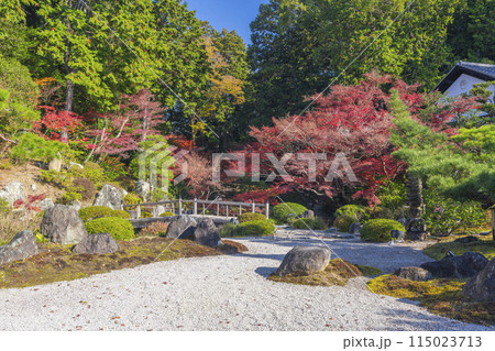 くろ谷 金戒光明寺 紅葉に包まれた紫雲の庭 くろ谷 金戒光明寺 紅葉に包まれた紫雲の庭 115023713