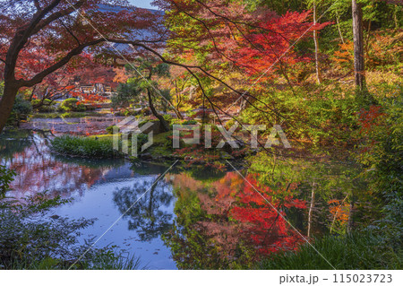 くろ谷 金戒光明寺 紅葉に包まれた方丈北庭 くろ谷 金戒光明寺 紅葉に包まれた方丈北庭 115023723
