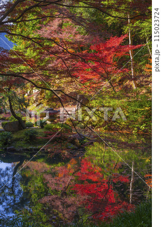 くろ谷 金戒光明寺 紅葉に包まれた方丈北庭 くろ谷 金戒光明寺 紅葉に包まれた方丈北庭 115023724