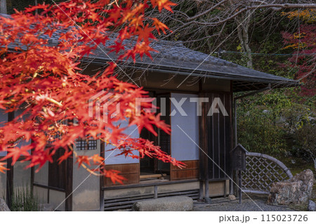 くろ谷　金戒光明寺　紅葉に包まれた花峯庵 115023726