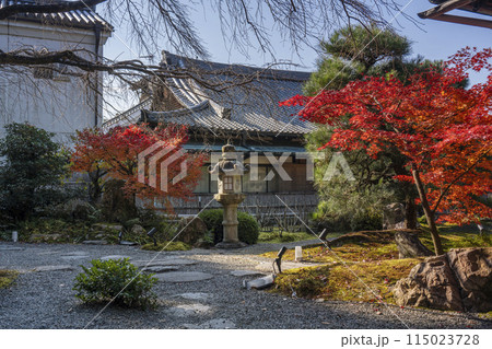 くろ谷　金戒光明寺　紅葉に包まれた花峯庵前庭 115023728