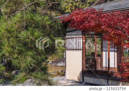 くろ谷　金戒光明寺　紅葉に包まれた紫雲亭 115023734