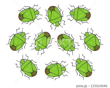カメムシの集団 115024046