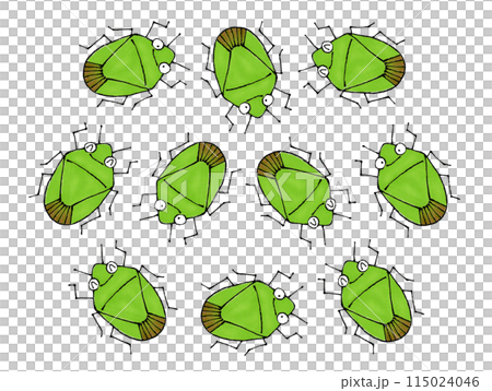 A group of stink bugs 115024046