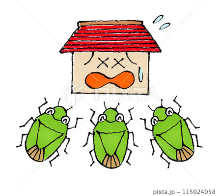 家に集まるカメムシの集団（嫌がる家） 115024058