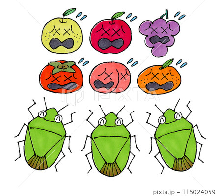 果物に集まるカメムシの集団（嫌がる果物） 115024059