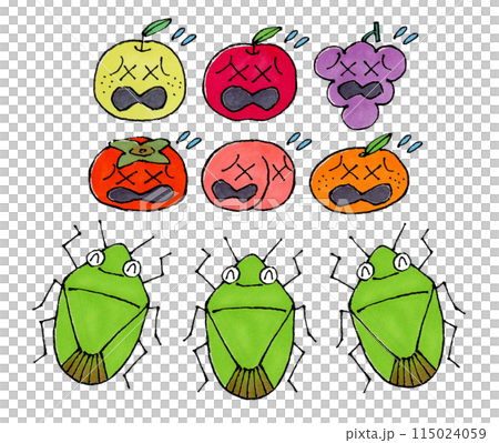 果物に集まるカメムシの集団（嫌がる果物） 115024059