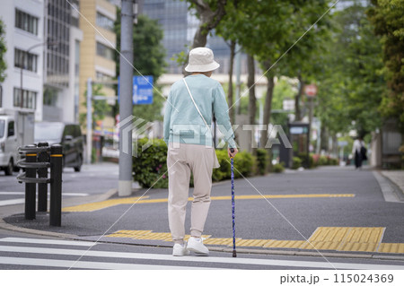 杖をついて街を歩くシニア女性の後ろ姿 115024369