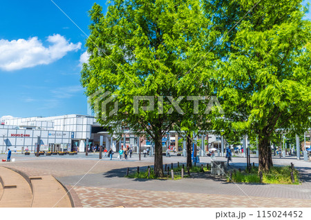 日本の横浜都市景観 5月。新緑を迎えた地下鉄　センター南駅などを望む＝29日 115024452