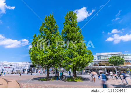 日本の横浜都市景観 5月。新緑を迎えた地下鉄 センター南駅などを望む=29日 日本の横浜都市景観 5月。新緑を迎えた地下鉄 センター南駅などを望む=29日 115024454