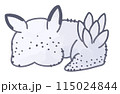 ほんわかゴマフビロードウミウシ 115024844