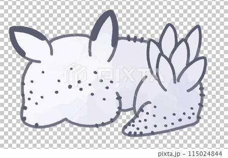 ほんわかゴマフビロードウミウシ 115024844