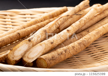 ［青森県産］やませごぼう 115025399