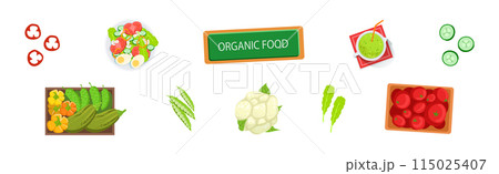 Organic Crop and Vegetable Ingredient for Culinary Vector Set 115025407