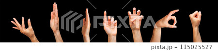 Set of woman hands showing different gestures, pointing and showing signs 115025527
