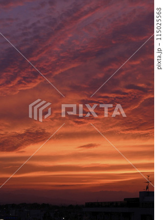 真っ赤な夕焼け 真っ赤な夕焼け 115025568