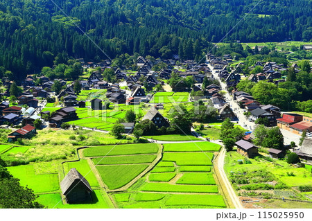 【岐阜県】白川郷城山展望台からの眺望 115025950