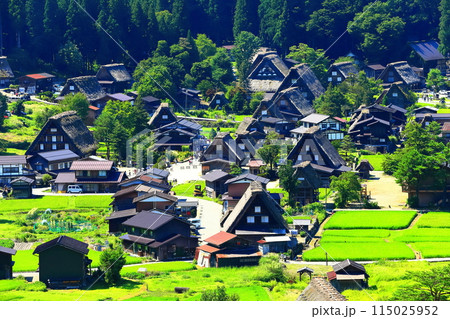 【岐阜県】白川郷城山展望台からの眺望 【岐阜県】白川郷城山展望台からの眺望 115025952