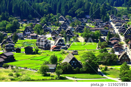 【岐阜県】白川郷城山展望台からの眺望 115025953