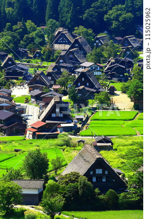 【岐阜県】白川郷城山展望台からの眺望 【岐阜県】白川郷城山展望台からの眺望 115025962