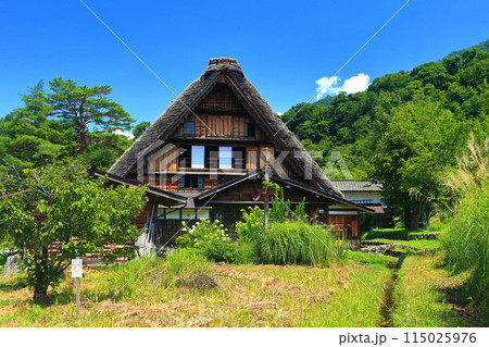 【岐阜県】晴天の白川郷の和田家住宅の合掌造り 115025976