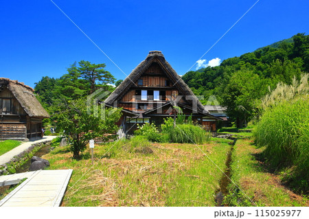 【岐阜県】晴天の白川郷の和田家住宅の合掌造り 115025977
