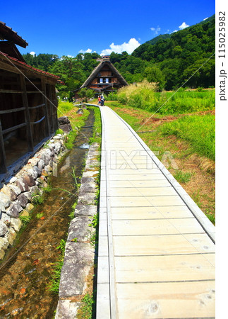 【岐阜県】晴天の白川郷の和田家住宅の合掌造り 【岐阜県】晴天の白川郷の和田家住宅の合掌造り 115025982