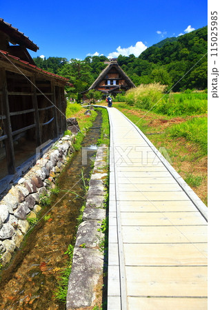 【岐阜県】晴天の白川郷の和田家住宅の合掌造り 115025985