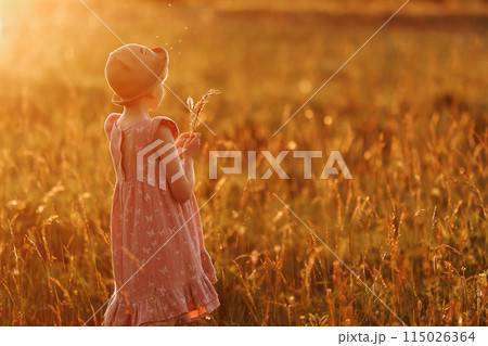 A young girl in a field of flowers, holding a bouquet of spikelets A young girl in a field of flowers, holding a bouquet of spikelets 115026364