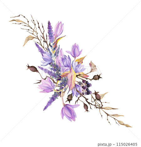 Hand drawn watercolor illustration shabby boho botanical flowers leaves. Crocus saffron rose hip veronica lavender berries. Bouquet isolated white background. Design wedding, gift cards, floral shop Hand drawn watercolor illustration shabby boho botanical flowers leaves. Crocus saffron rose hip veronica lavender berries. Bouquet isolated white background. Design wedding, gift cards, floral shop 115026405