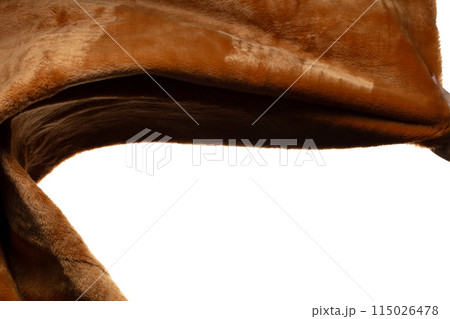 Brown fur wool fabric flying in curve shape, Piece of textile Brown fur wool fabric throw fall in air. White background isolated, dark shading environment 115026478