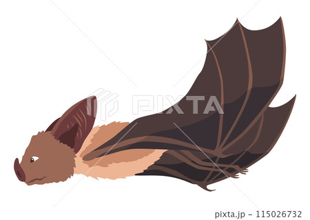 Bat. Concept cartoon bat. Vector clipart illustration isolated on white background Bat. Concept cartoon bat. Vector clipart illustration isolated on white background 115026732