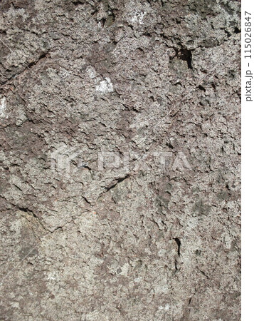 熊本県阿蘇郡南小国町のパワースポット押戸石の丘にある「鏡石」に刻まれたシュメール文字 熊本県阿蘇郡南小国町のパワースポット押戸石の丘にある「鏡石」に刻まれたシュメール文字 115026847