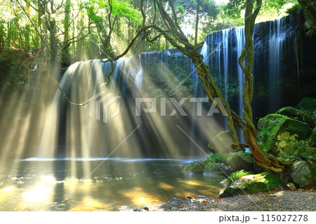 【熊本県】幻想的な鍋ヶ滝の水のカーテンと光のシャワー 115027278