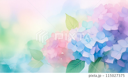 紫陽花 紫陽花 115027375