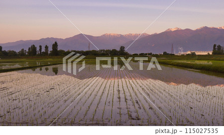 田植え後の安曇野 115027535
