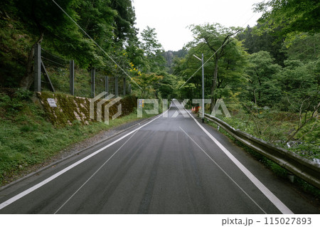 まっすぐな道 115027893
