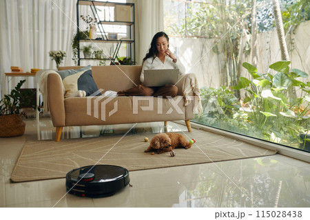 Small Dog Playing with Toys 115028438